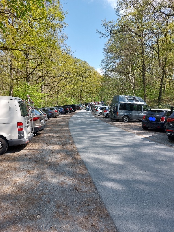 Forest parking lot at the Opel Zoo