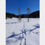 Schneeschuhwanderung vom Schwabenhof zum Riedbergpass