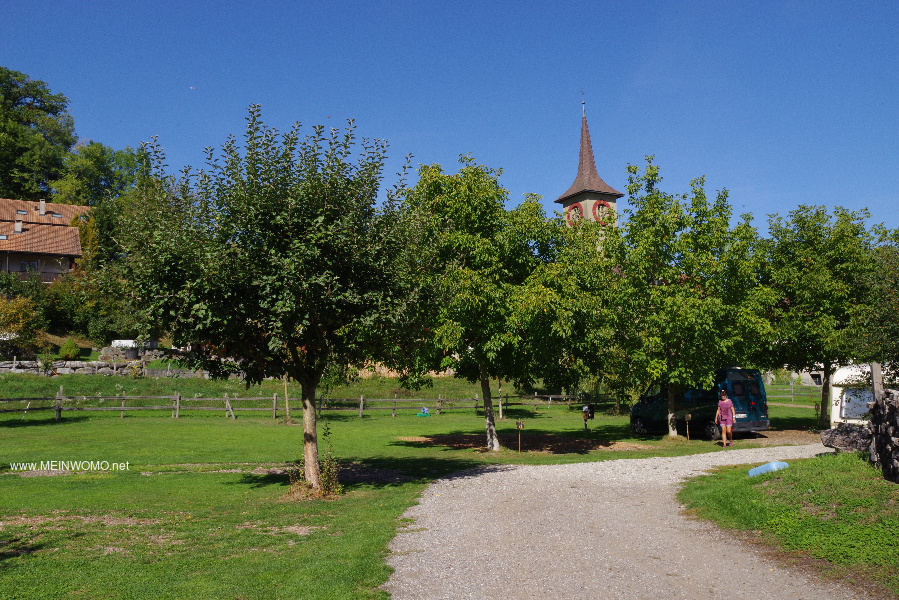 View over the square. The trees now also provide shade