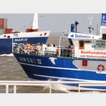Cuxhaven Fahrt zu den Seehundsbnken