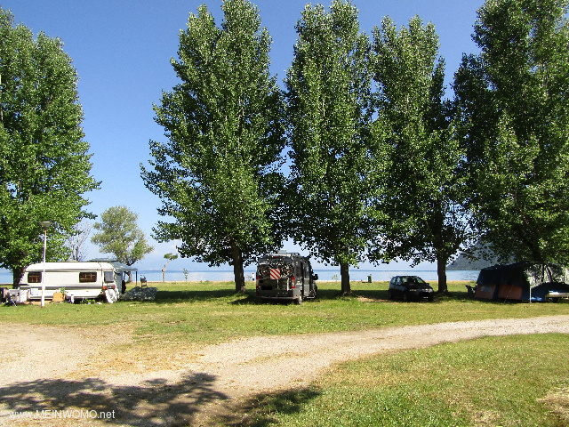  Pitches under trees right on the beach