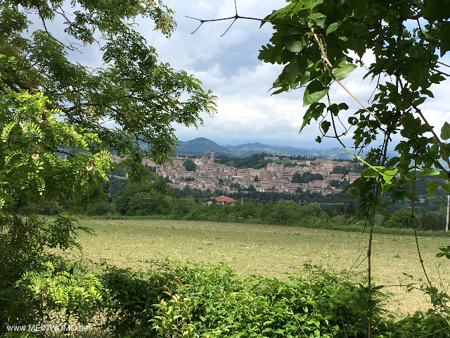  Uitzicht vanaf de camping op Urbino