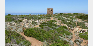 Der Torre di Cala Domestica auf Sardinien.