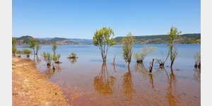 Das Ufer des Lac du Salagou war stellenweise stark mit Algen bedeckt.