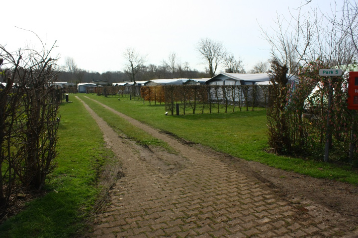  Actuator / campsites bounded by hedges