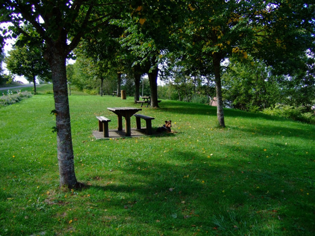  zona erbosa con tavoli da picnic proprio sul campo.
