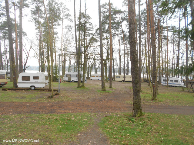  Beautiful quiet place under tall pines.