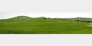 Getreidefelder bei Leonina, SS438, 53041 Asciano Sienna, Italien