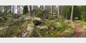 Im Nationalpark Norra Kvill  bevor der Pfad wieder etwas abwrts zum See Lilla Idglen fhrt, prgen Heidelbeerstrucher und zwischen den Kiefern liegende mit Rentierflechte bewachsene riesige Gesteinsbrocken  das Landschaftsbild.