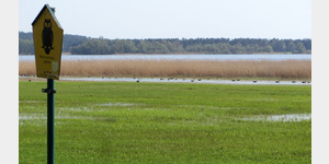 Der 1967 zum Naturschutzgebiet erklrte Glper See. Im Frhjahr kann man hier zahlreiche Wildgnse beobachten, die nach Norden ziehen. Im Herbst ist er auch Zwischenstation der von Norden kommenden Kraniche.