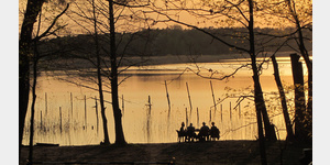 Gemtlicher Abendplausch am Fechesarer See.