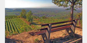 Blick von den Weinterrassen auf der Mondhalde bei Oberrotweil ber das Rheintal hinweg zu den Vogesen.