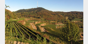 Blick von der Strmpfkpfle-Htte ber die Weinberge des Kaiserstuhl hinweg zu seiner hchsten Erhebung, dem 557 m hohen Totenkopf.