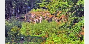 Der Adelsfelsen, optisch nicht sehr markant gehrt er dennoch zu den namentlich benannten Felsformationen aus Taunusquarzit am Hunsrck-Felsenweg.