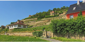 Blick von der Schweigenbergstrae auf die Weinterrassen von Freyburg