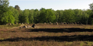 Stationen 30b-d der Megalith-Route:  Drei Megalithgrber, Glaner Braut I bis III genannt, liegen auf dem offenen Gelnde der Glaner Heide am Westufer der Hunte.