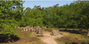 Das Megalithgrab Glaner Braut II hat eine Lnge von 30 m und eine Breite von bis zu 6 m.