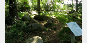 Stationen 31 der Megalith-Route:  Das Megalithgrab Steenberg beinhaltet eine Grabkammer von 16,5 x 2,5 m. Whrend die Tragsteine der Kammer noch vorhanden sind, fehlen Decksteine. Die vorhandenen sind in die Kammer gestrzt.