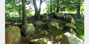 Stationen 32a der Megalith-Route: Die Hnensteine bei Steinkimmen beeindrucken durch eine Steinkammer von 23 m. Bis auf einen fehlen aber smtliche Decksteine.
