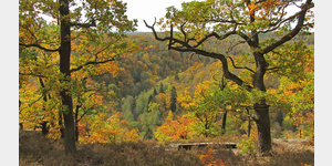 Herbstlicher Blick von der Pionierklippe in das Selketal. Im Hintergrund, leicht verdeckt, der Brocken.