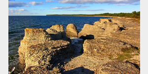 Byrums Raukar oder die Rauken von Byrum sind bizarr geformte, geschtzte Kalksteinsulen an der Nordwestkste von land