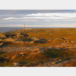Die Barentssee mit dem Leuchtturm Slettnes fyr im Schein der Mitternachtsonne