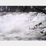 Der Storforsen, die wasserreichste Stromschnelle Schwedens, HN 5, 942 95 Vidsel, Schweden