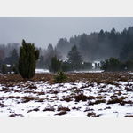 Winter in der Lneburger Heide, Sellhorner Weg, 29646 Bispingen, Deutschland
