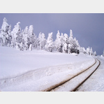 Die Brockenbahnstrecke im Winter, Harz und nrdliches Harzvorland, K1356, 38879 Wernigerode, Deutschland