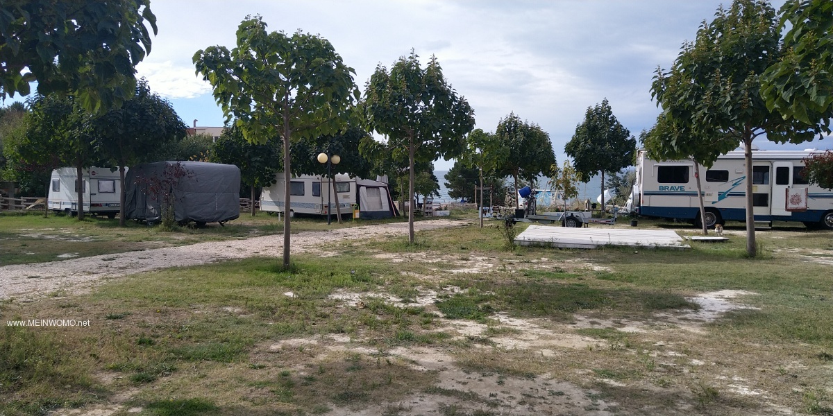   Camping met staanplaatsen    