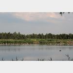 Blick ber den groen See des Zwillbrocker Venn zur Flamingoinsel