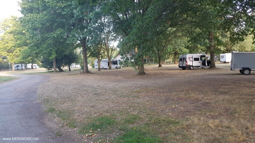  The pitch is located on a large lawn with shady trees without special parcelling