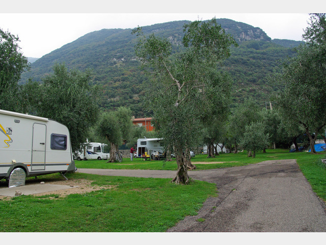Italien Gardasee bei Malcesine  Camping Claudia