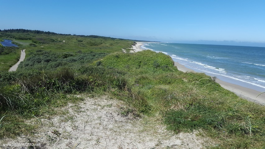  Bike path through the dunes in the direction of Hirthals