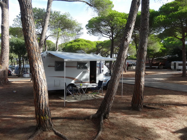  Place among pines (150m from the beach)