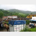 Viehmarkt in Asturien