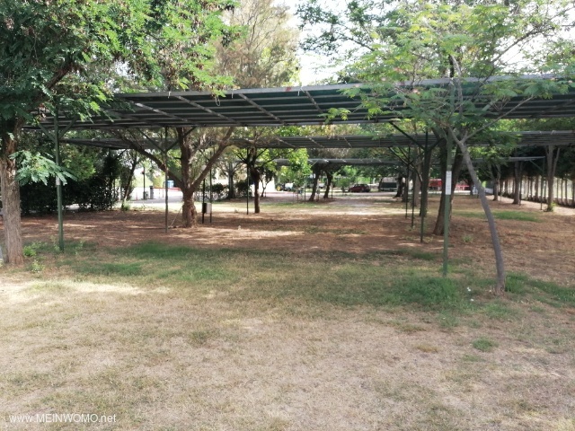  Pitches with a canopy  