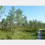 Naturerlebnispfad -Teirumniku-See/Lettland
