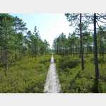 Naturerlebnispfad -Teirumniku-See/Lettland