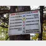 Trifelsblick-Htte - Pflzer Wald - Sdliche Weinstrae