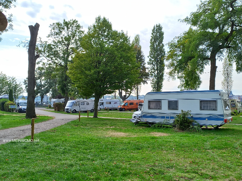Campingplace Maaraue