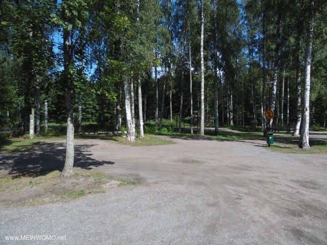  10.08.21: Parking spaces under birch and pine trees behind the information building   