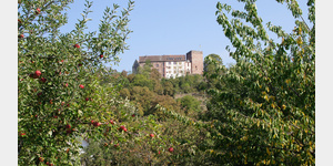 Blick zur Burg Gamburg vom gleichnamigen Ort aufgenommen