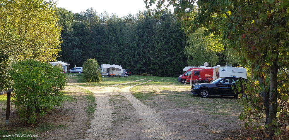 Campingplatz Teil1 vom Eingang gesehen - im hinteren Bereich kein SAT Empfang  (Waldrand)  