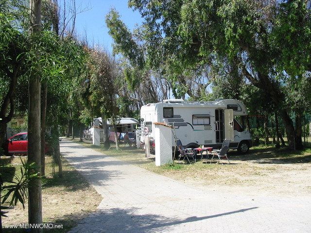 Campingplats Mimosa