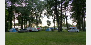 Viele hohe Bume auf dem Campingplatz.