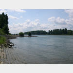 Blick auf den Altrhein und den Rhein stromauf