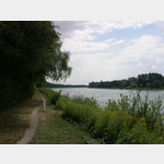 Der Wanderweg am Rhein bei der Kollerfhre