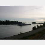 Abendstimmung am Rhein, ein Schiff fhrt stromab
