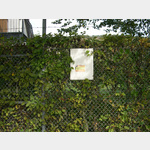 Das Bild zeigt den MEINWOMO-Aufkleber am Zaun vom Freibad, davor sind die Stellpltze